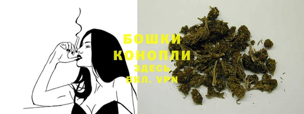 тгк Гусев