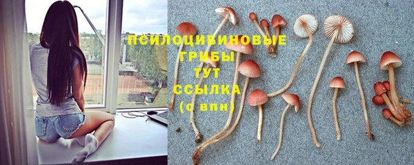 тгк Гусев