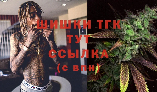 тгк Гусев