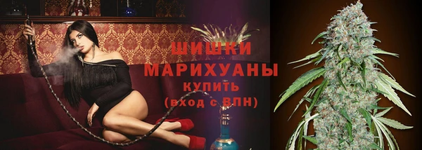 a pvp Гусь-Хрустальный