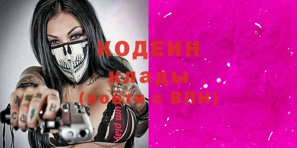 тгк Гусев