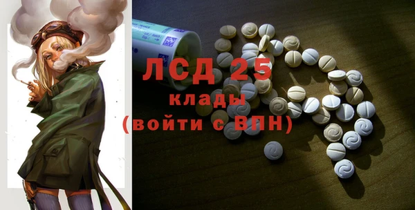тгк Гусев